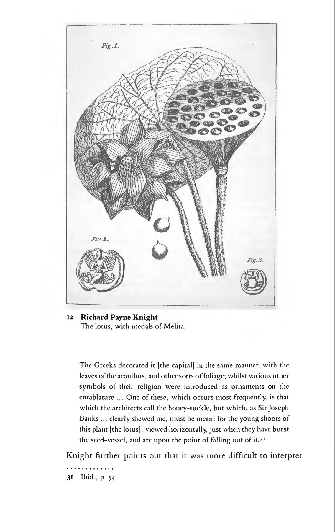 Sexuality and Space / Beatriz Colomina, editor. — New York : Princeton Architectural Press, 1992. — [8], 390 p., ill. — (Princeton Papers on Architecture)