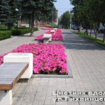 Цветник вдоль ул. Лихвинцева (2009).